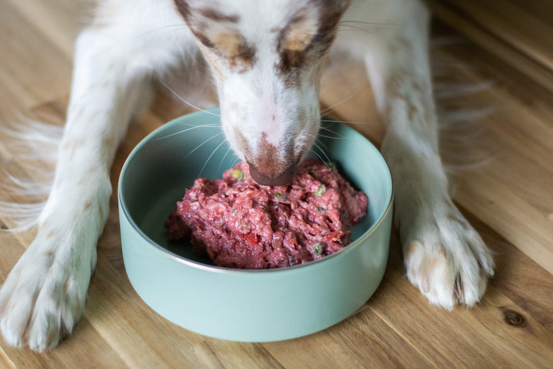 Raw freeze-dried meal toppers subscription