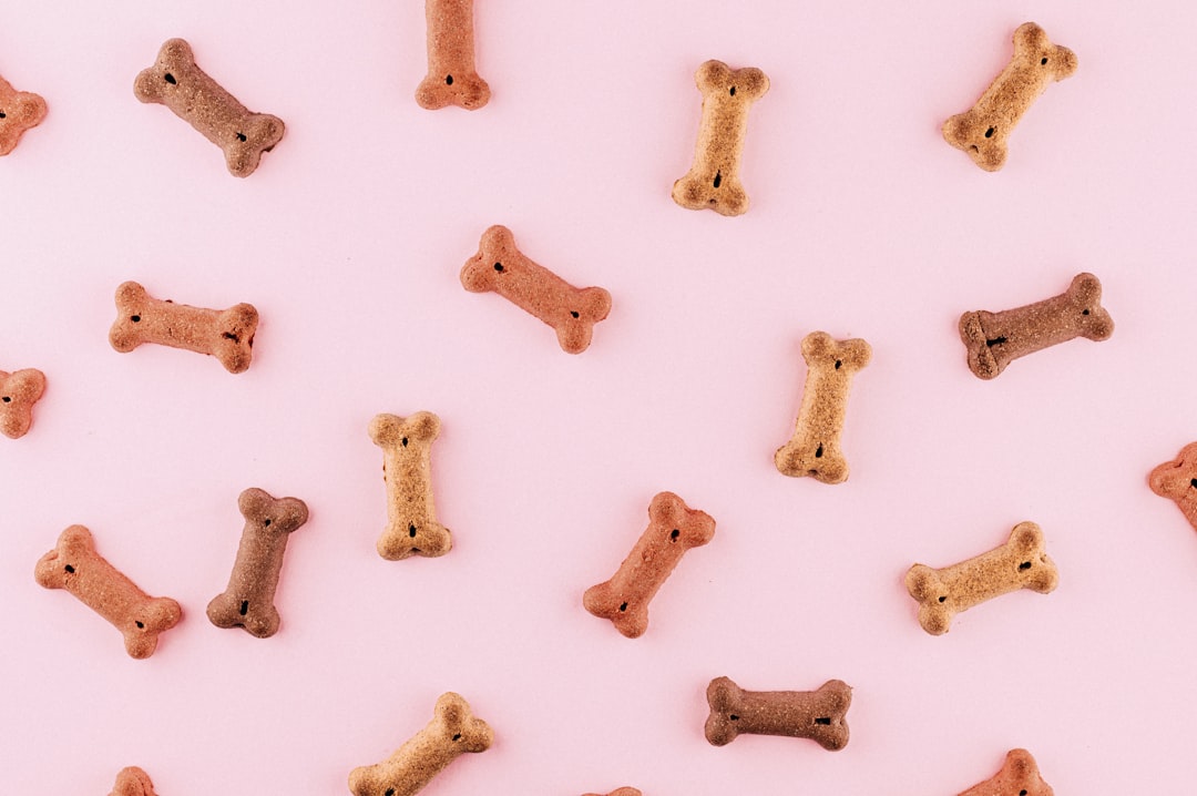Premium pet nutrition products arranged on warm mustard background